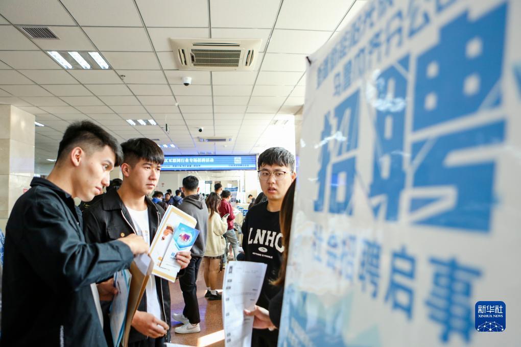 九五至尊6官方